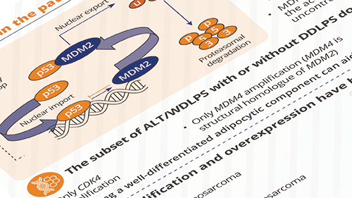 Infographic Pathology of DDL